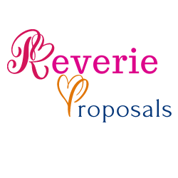 Reverie Proposals